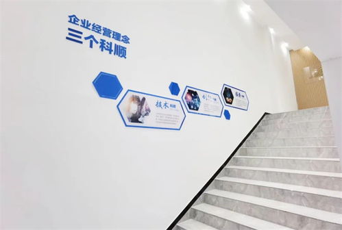 美好升級(jí)，煥新品牌 以技術(shù)服務(wù)驅(qū)動(dòng)企業(yè)轉(zhuǎn)型