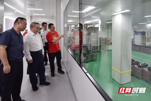 湖南省食品專家團(tuán)隊(duì)技術(shù)服務(wù)進(jìn)產(chǎn)區(qū)活動(dòng)在平江啟動(dòng)